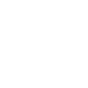 Monthly Plan Business